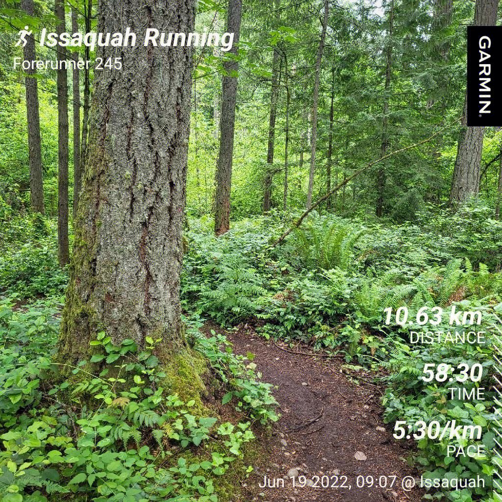 funrun(funrun lyrics)